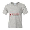 Youth DryBlend® T-Shirt Thumbnail