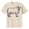 Youth Heavy Cotton 100% Cotton T Shirt Thumbnail