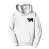 Youth Fan Favorite Fleece Pullover Hooded Sweatshirt Thumbnail