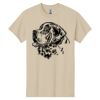 Heavy Cotton  100% Cotton T Shirt Thumbnail