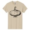 Heavy Cotton  100% Cotton T Shirt Thumbnail