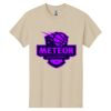 Heavy Cotton  100% Cotton T Shirt Thumbnail